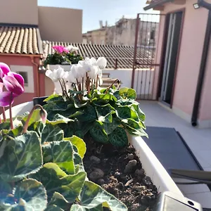 https://krokos-ortigia.sicilyhotelsitaly.net