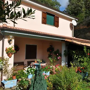 https://mattale.in-sardinia.net